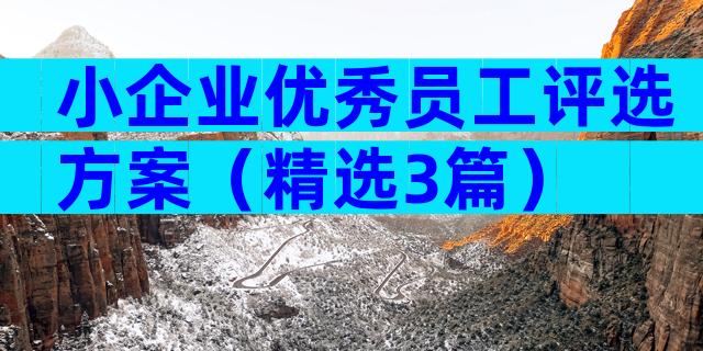 小企业优秀员工评选方案（精选3篇）