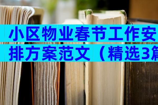 小区物业春节工作安排方案范文（精选3篇）