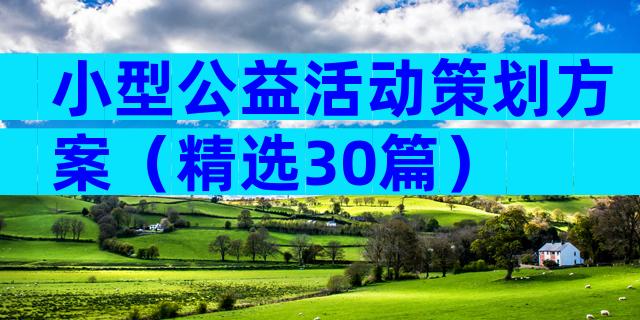 小型公益活动策划方案（精选30篇）