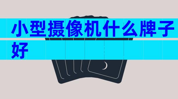 小型摄像机什么牌子好