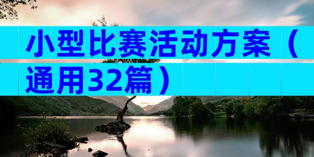 小型比赛活动方案（通用32篇）