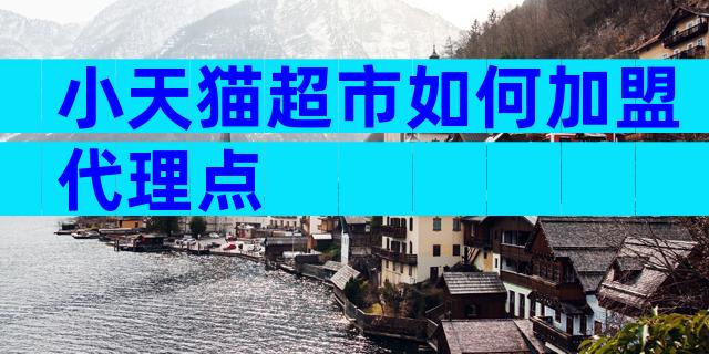 小天猫超市如何加盟代理点