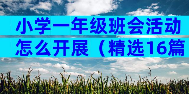 小学一年级班会活动怎么开展（精选16篇）