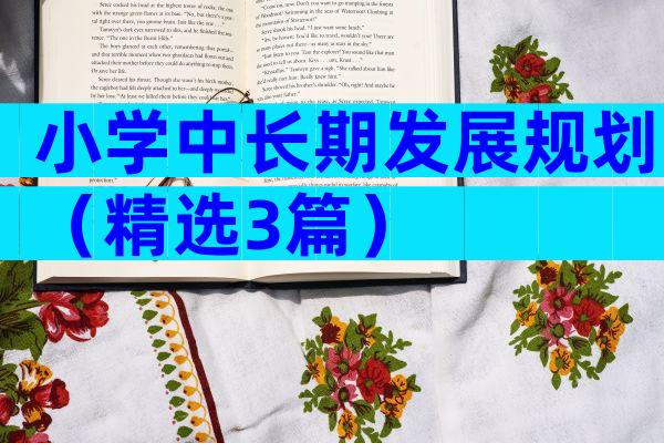小学中长期发展规划（精选3篇）
