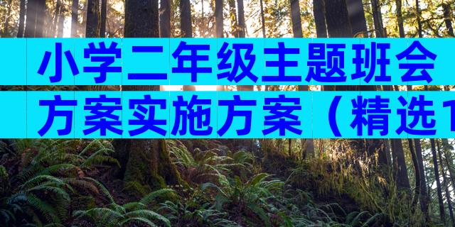 小学二年级主题班会方案实施方案（精选11篇）
