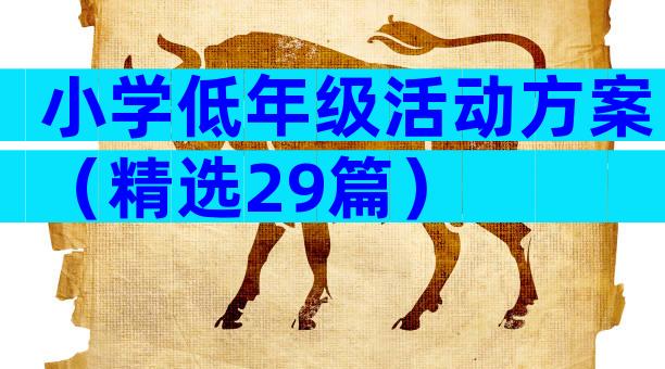 小学低年级活动方案（精选29篇）