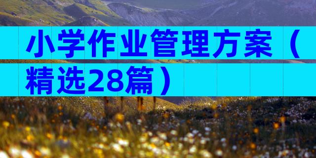 小学作业管理方案（精选28篇）