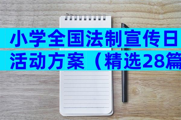 小学全国法制宣传日活动方案（精选28篇）