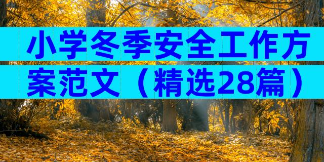 小学冬季安全工作方案范文（精选28篇）