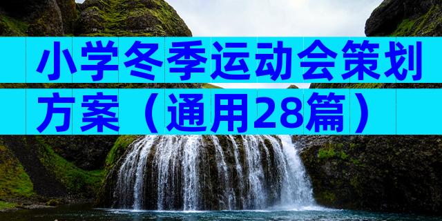 小学冬季运动会策划方案（通用28篇）