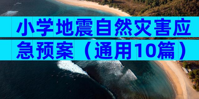 小学地震自然灾害应急预案（通用10篇）