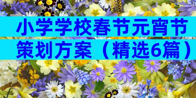 小学学校春节元宵节策划方案（精选6篇）