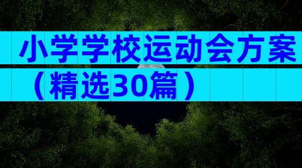小学学校运动会方案（精选30篇）