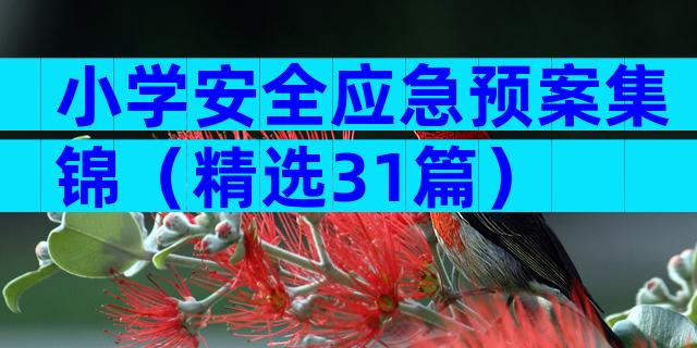 小学安全应急预案集锦（精选31篇）