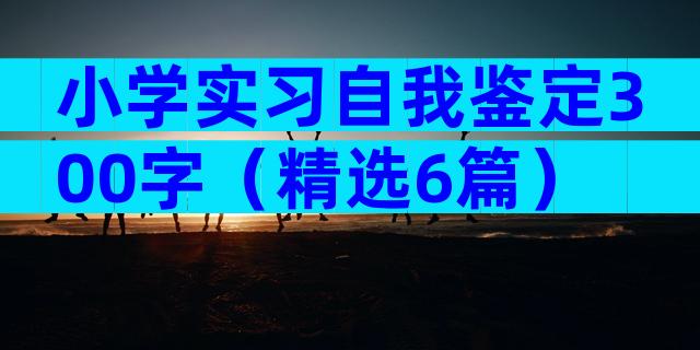 小学实习自我鉴定300字（精选6篇）