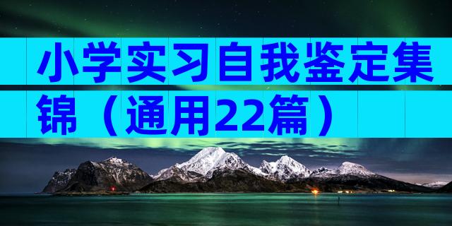小学实习自我鉴定集锦（通用22篇）