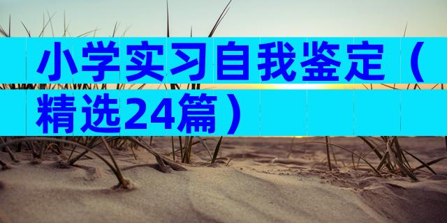 小学实习自我鉴定（精选24篇）