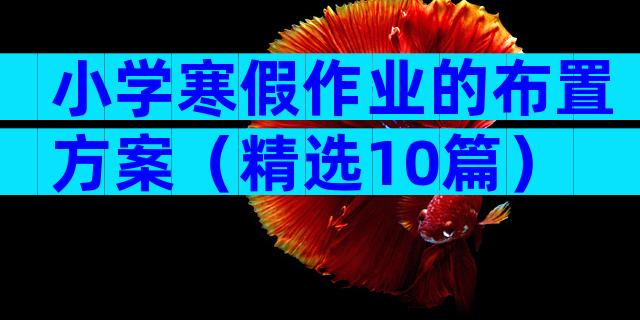 小学寒假作业的布置方案（精选10篇）