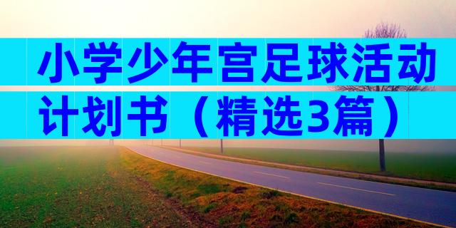 小学少年宫足球活动计划书（精选3篇）