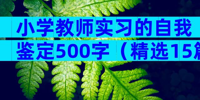 小学教师实习的自我鉴定500字（精选15篇）