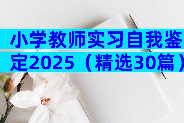 小学教师实习自我鉴定2025（精选30篇）