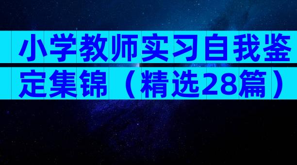 小学教师实习自我鉴定集锦（精选28篇）