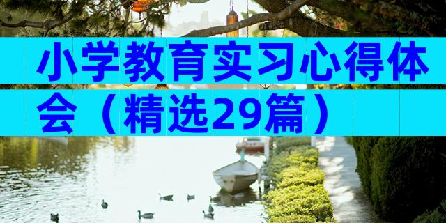 小学教育实习心得体会（精选29篇）