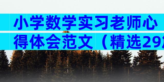 小学数学实习老师心得体会范文（精选29篇）