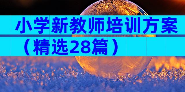 小学新教师培训方案（精选28篇）