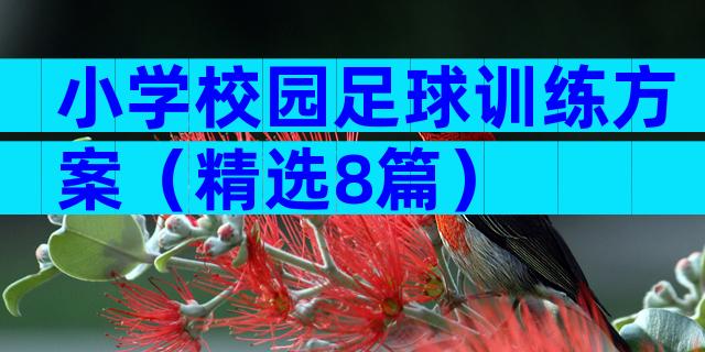 小学校园足球训练方案（精选8篇）