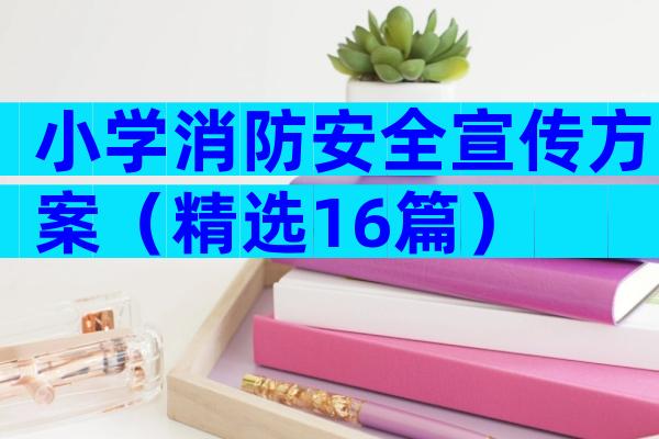 小学消防安全宣传方案（精选16篇）