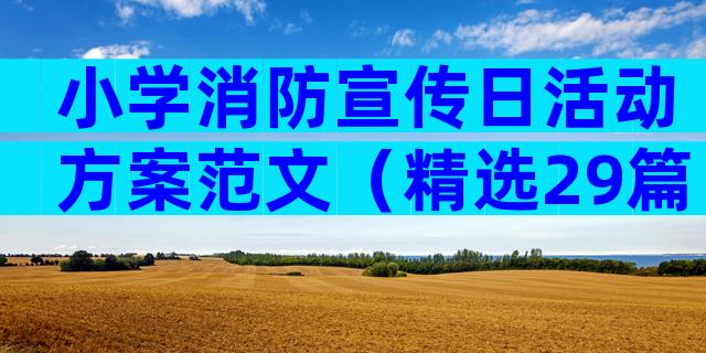 小学消防宣传日活动方案范文（精选29篇）