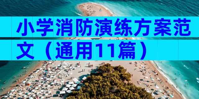 小学消防演练方案范文（通用11篇）