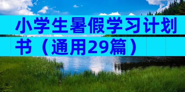 小学生暑假学习计划书（通用29篇）