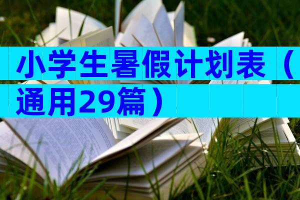 小学生暑假计划表（通用29篇）