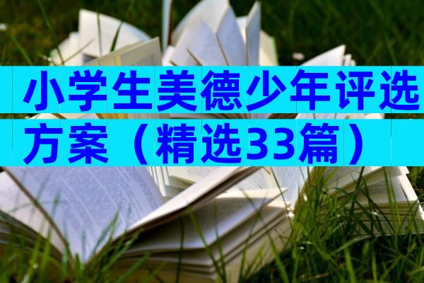 小学生美德少年评选方案（精选33篇）