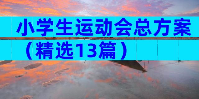 小学生运动会总方案（精选13篇）