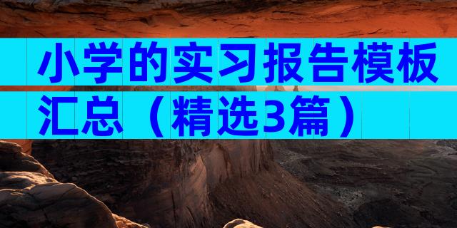小学的实习报告模板汇总（精选3篇）