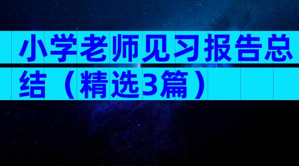 小学老师见习报告总结（精选3篇）