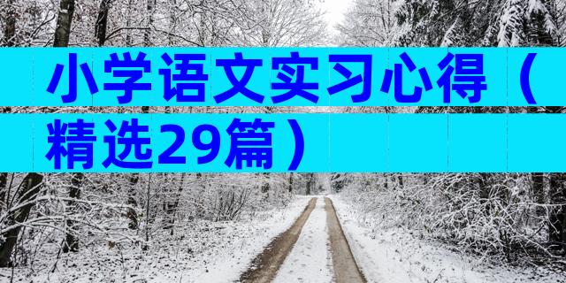 小学语文实习心得（精选29篇）