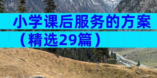 小学课后服务的方案（精选29篇）