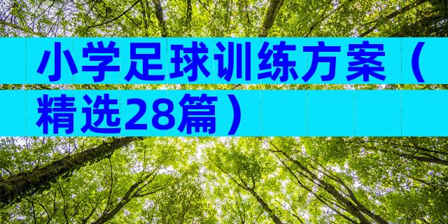 小学足球训练方案（精选28篇）