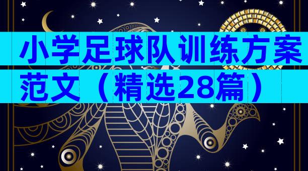 小学足球队训练方案范文（精选28篇）