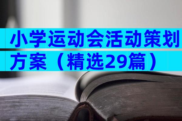 小学运动会活动策划方案（精选29篇）
