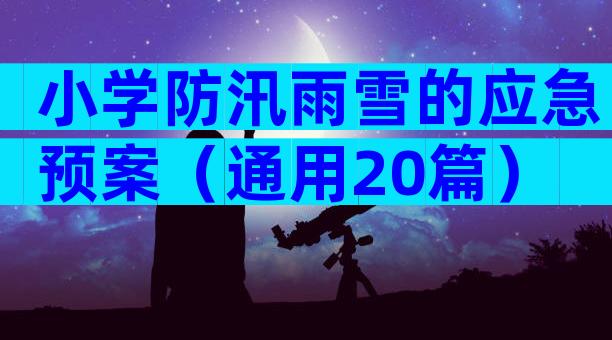 小学防汛雨雪的应急预案（通用20篇）