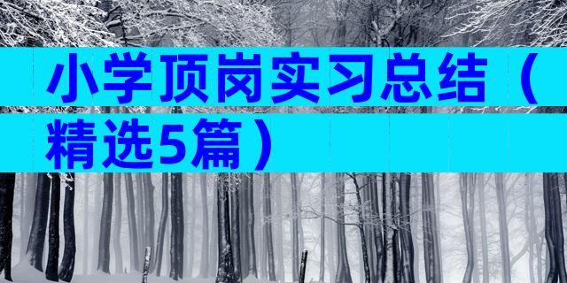 小学顶岗实习总结（精选5篇）