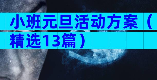 小班元旦活动方案（精选13篇）