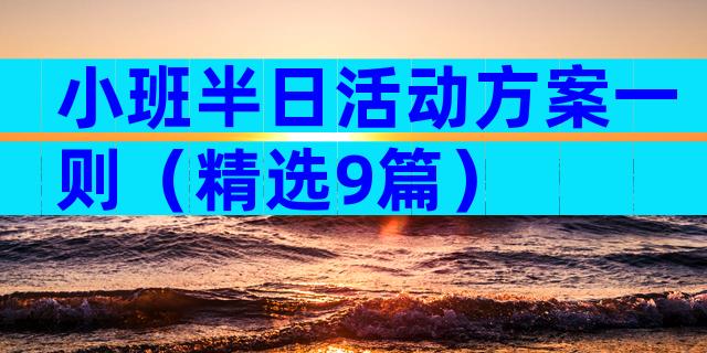 小班半日活动方案一则（精选9篇）