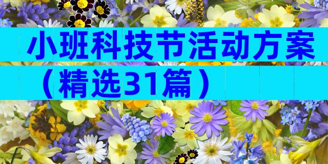 小班科技节活动方案（精选31篇）