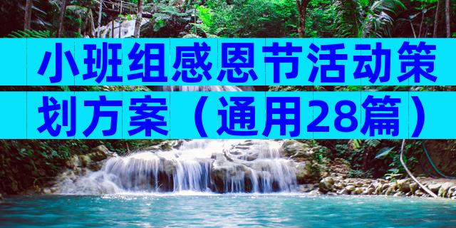 小班组感恩节活动策划方案（通用28篇）